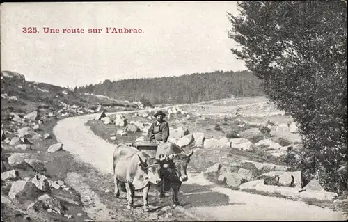 Ak Une route sur l'Aubrac, Mann, Rinderkarren