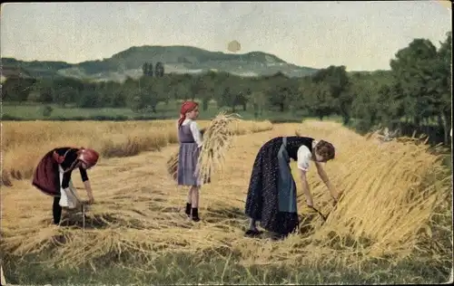 Ak Frauen bei der Getreideernte