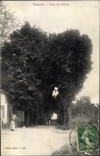 Ak Pussay Essonne, Allee des Tilleuls