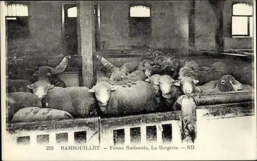 Ak Rambouillet Yvelines, Ferme Nationale, La Bergerie