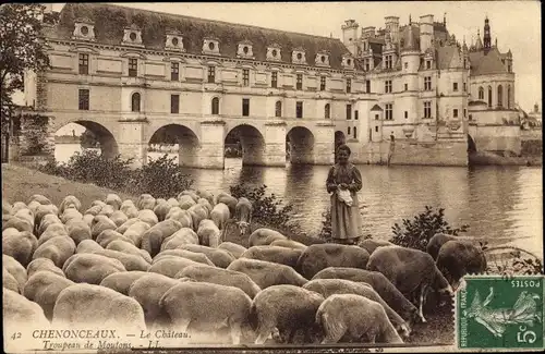 Ak Chenonceaux Indre et Loire, Le Chateau, Troupeau de Moutons