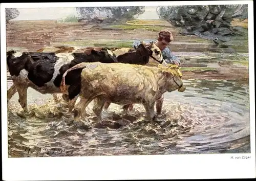 Künstler Ak Zügel, H. von, Mann mit Rindern im Wasser