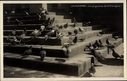 Ak Lausanne Kt. Waadt Schweiz, Les pigeons de St. Francois, Tauben