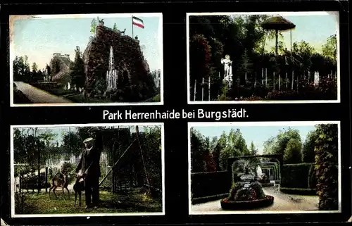 Ak Burgstädt in Sachsen, Park Herrenhaide