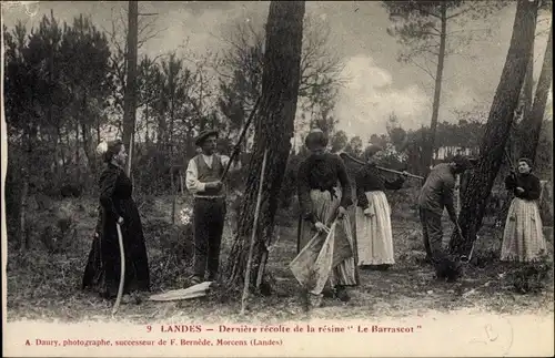 Ak Morcenx Landes, Derniere recolte de la resine La Barrascot, Harzgewinnung