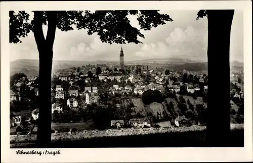 Ak Schneeberg im Erzgebirge, Gesamtansicht