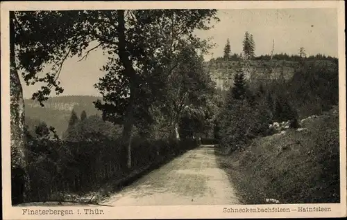 Ak Finsterbergen Friedrichroda Thüringen, Schneckenbachfelsen, Hainfelsen