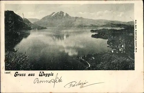 Ak Weggis Kanton Luzern, Blick auf den Ort, Im Hintergrund Berge