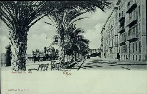 Ak Nice Nizza Alpes Maritimes, Boulevard du Midi
