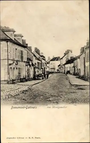 Ak Beaumont du Gâtinais Seine et Marne, Rue Montgaudier