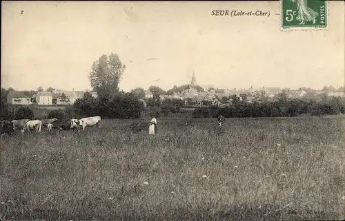 Ak Seur Loir-et-Cher, Teilansicht