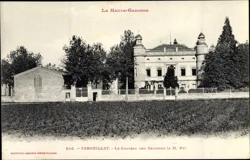 Ak Fenouillet Haute Garonne, Château