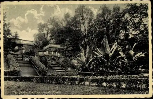 Ak Riesa an der Elbe Sachsen, Freitreppe im Stadtpark