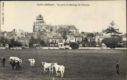 Ak Pont l Eveque Calvados, Vue prise de l'Herbage des Hunières