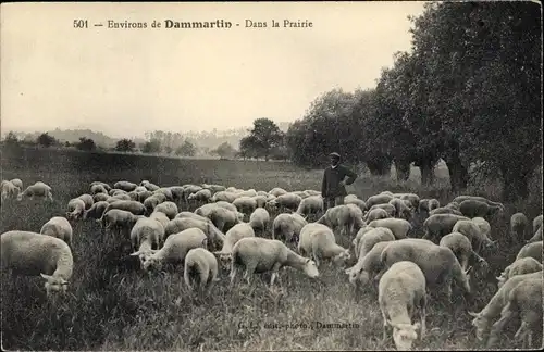 Ak Dammartin Seine et Marne, Dans la Prairie