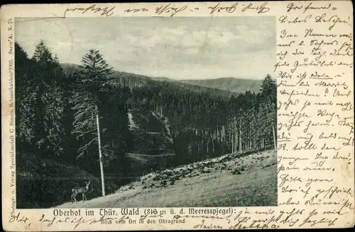 Ak Oberhof im Thüringer Wald, Ohragrund