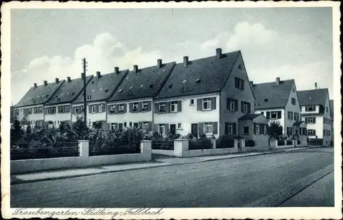 Ak Fellbach in Baden Württemberg, Traubengarten Siedlung