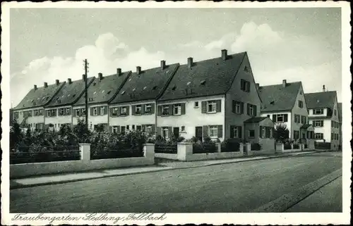 Ak Fellbach in Baden Württemberg, Traubengarten Siedlung