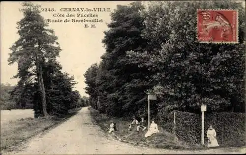 Ak Cernay la Ville Yvelines, Route de Rambouillet