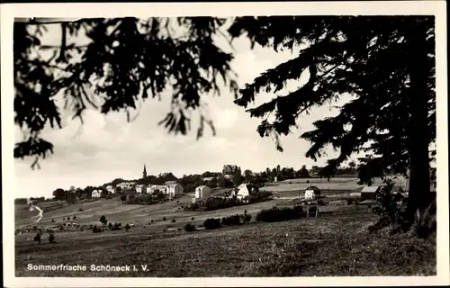 Ak Schöneck im Vogtland, Teilansicht