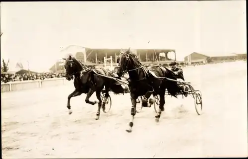 Foto Ak Daglfing München Bayern, Trabrennen, Pferd, Wagen, Tribüne