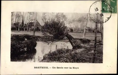 Ak Breteuil Oise, Un Saule sur la Noye