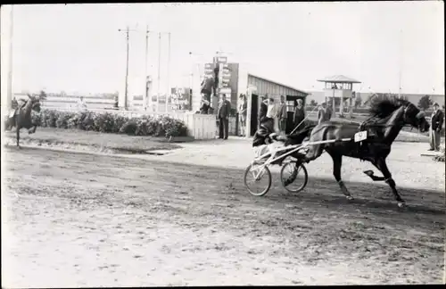 Foto Ak Daglfing München Bayern, Trabrennen, Pferd, Wagen, Nr. 9