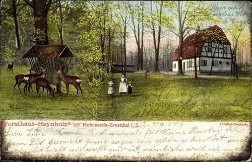 Künstler Ak Hohenstein Ernstthal in Sachsen, Forsthaus Haynholz, Rehe