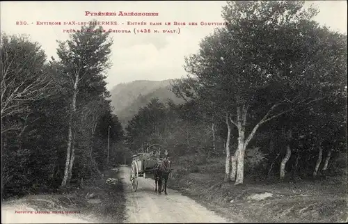 Ak Ax les Thermes Ariege, Entrée dans le Bois des Gouttinel