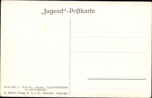 Künstler Ak Bartels, H. von, Tulpenfelder in Rhynsberg, Jugend Postkarte