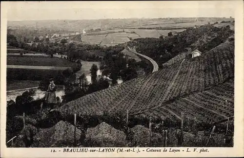 Ak Beaulieu sur Layon Maine et Loire, Coteaux de Layon