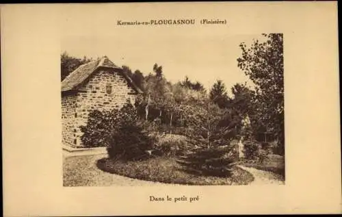 Ak Plougasnou Finistère, Dans le petit pre