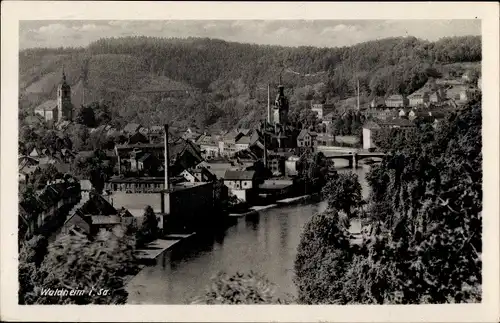 Ak Waldheim in Sachsen, Teilansicht, Wald