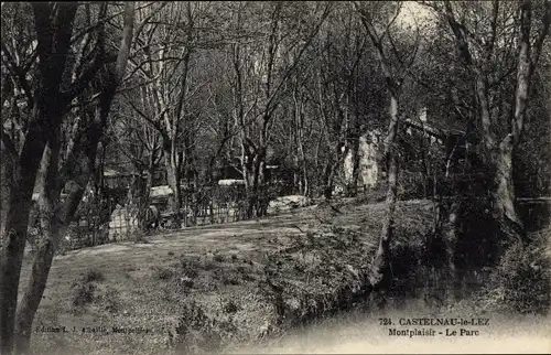 Ak Castelnau le Lez Hérault, Montplaisir, le Parc