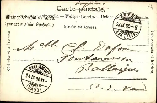 Ak Wasserpartie, Möwen mit Beute