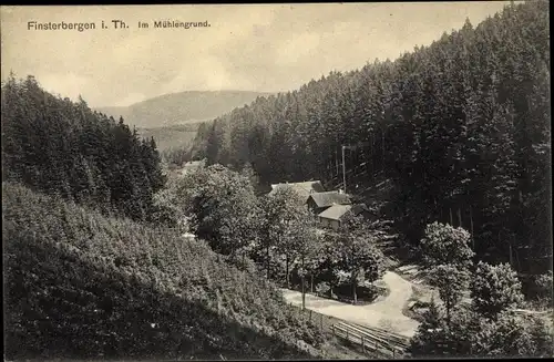 Ak Finsterbergen Friedrichroda im Thüringer Wald, Partie im Mühlengrund, Wald