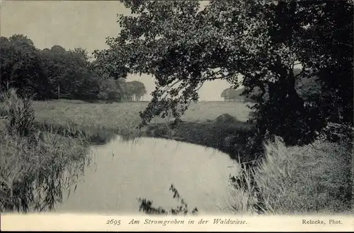 Ak Am Stromgraben in der Waldwiese