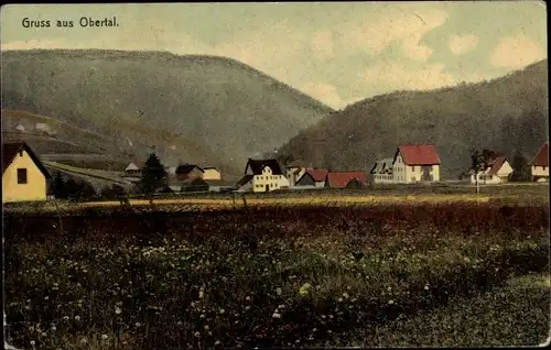 Ak Obertal Baiersbronn Schwarzwald, Panorama