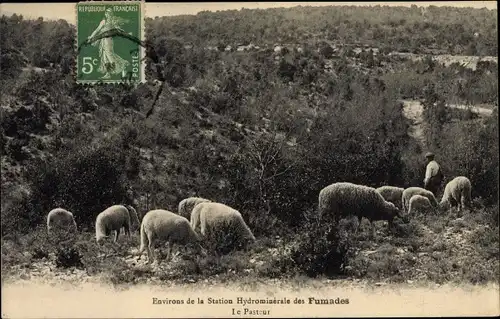 Ak Allègre les Fumades Gard, Schäfer, Schafherde