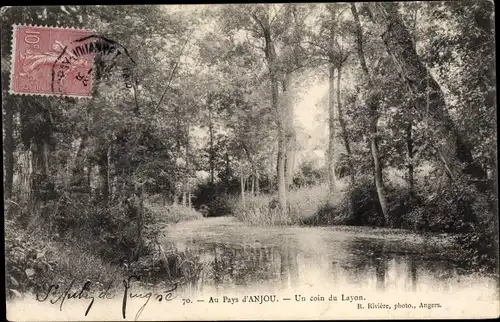 Ak Anjou Maine et Loire, Un coin du Layon