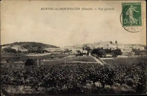 Ak Murviel lés Montpellier Hérault, Gesamtansicht
