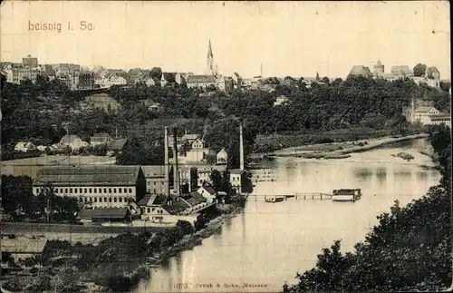 Ak Leisnig in Sachsen, Gesamtansicht