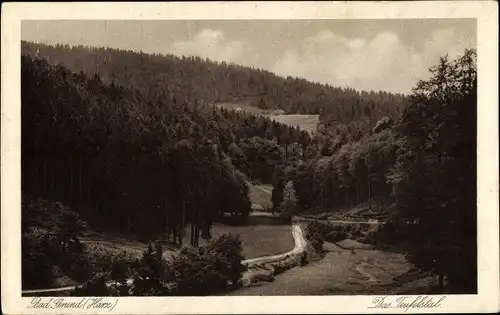 Ak Bad Grund im Harz, Das Teufelstal