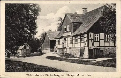 Ak Elbingerode Oberharz am Brocken, Waldwirtschaft Büchenberg