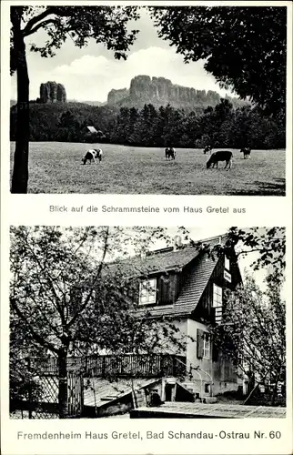 Ak Ostrau Bad Schandau Sächsische Schweiz, Schrammsteine vom Haus Gretel aus