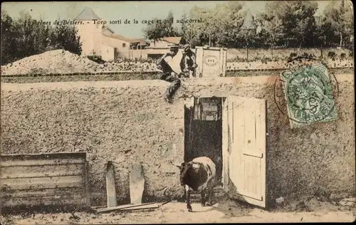 Ak Béziers Hérault, Arènes, Toro sortie de la cage et mis au corral