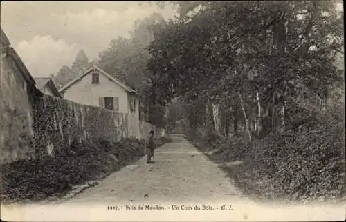 Ak Meudon Hauts de Seine, Partie am Wald