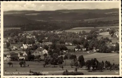 Ak Trieb Falkenstein im Vogtland, Totale