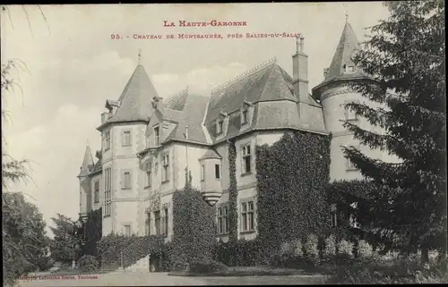 Ak Salies du Salat Haute Garonne, Château de Montsauxés