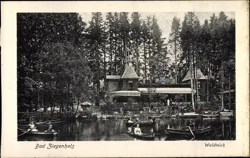 Ak Głuchołazy Zdrój Bad Ziegenhals Schlesien, Waldteich